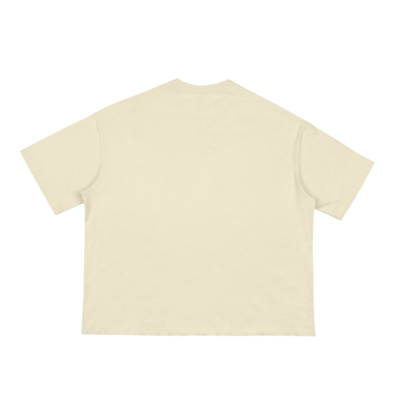 SMACKED Loose Boxy Tee - Bone